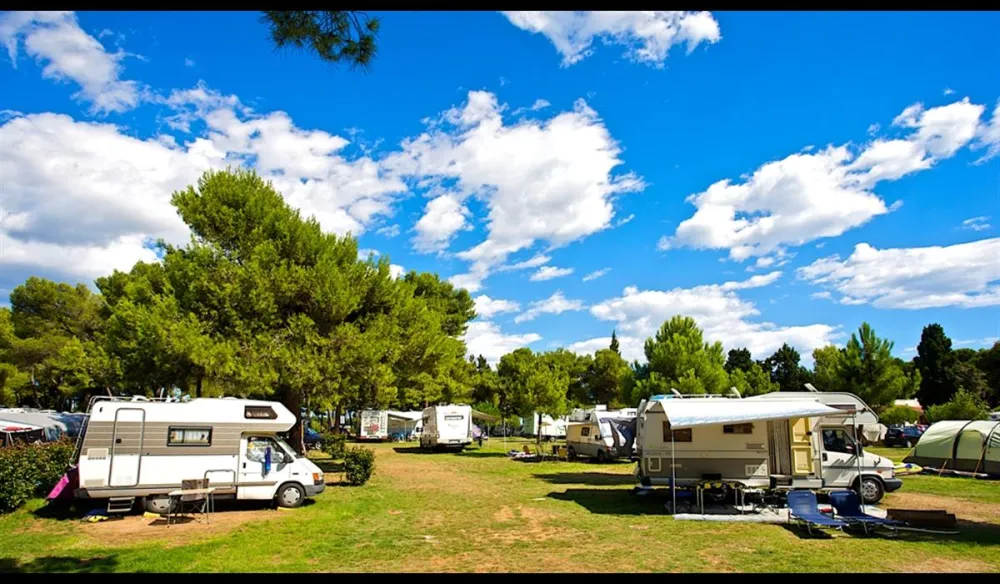 Camping Stoja