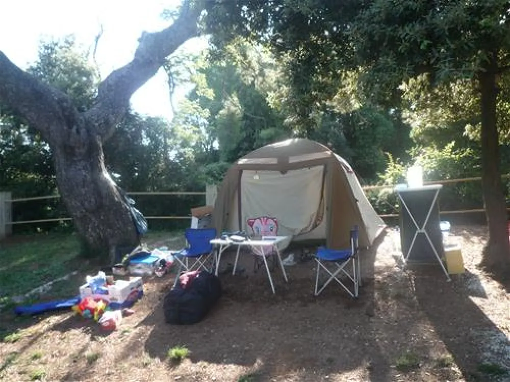 Camping Stoja