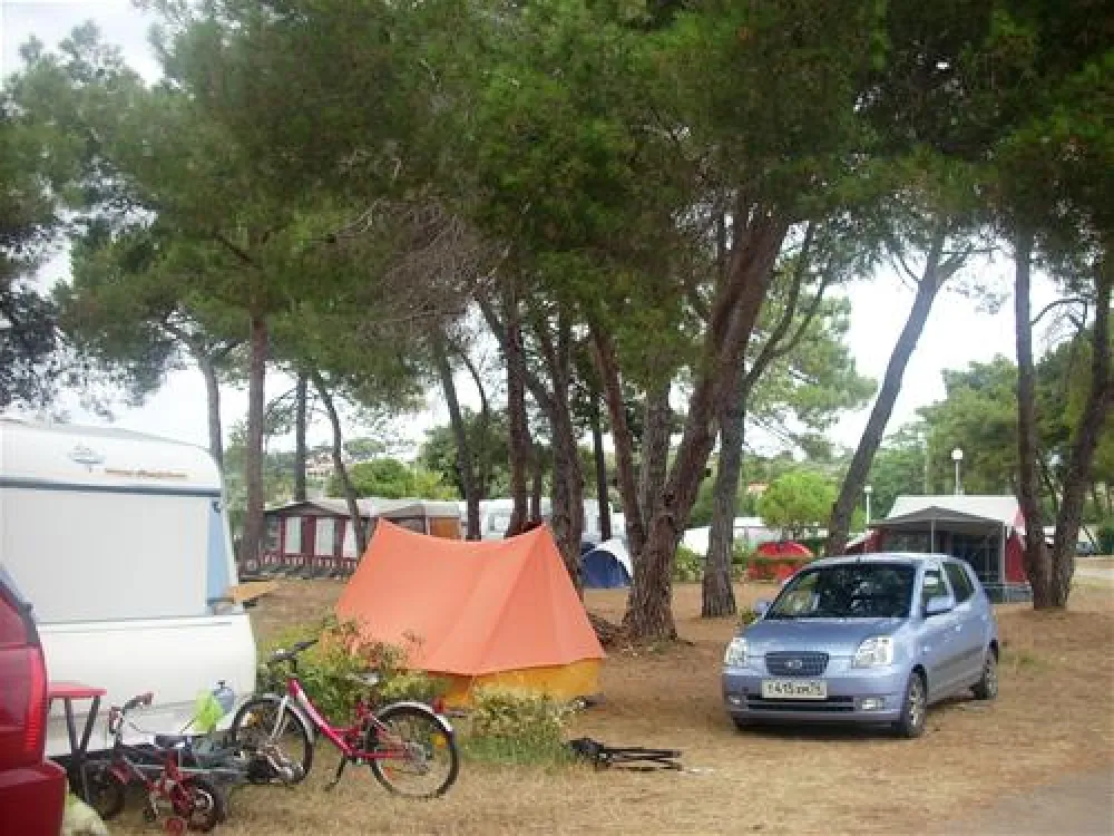Camping Stoja