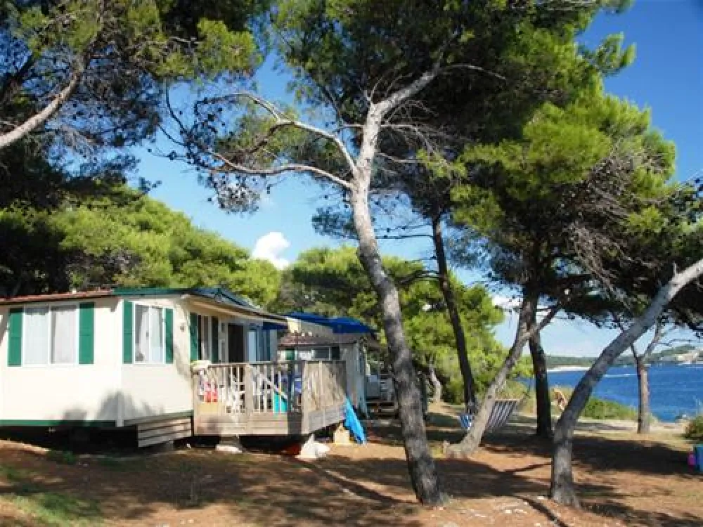 Camping Stoja