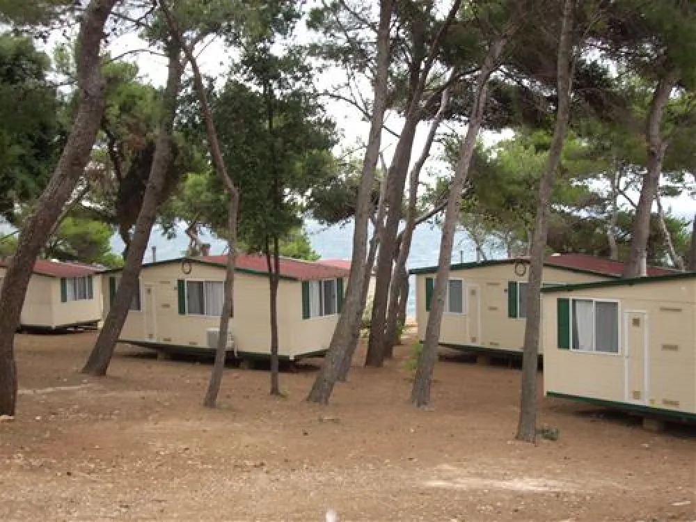 Camping Stoja