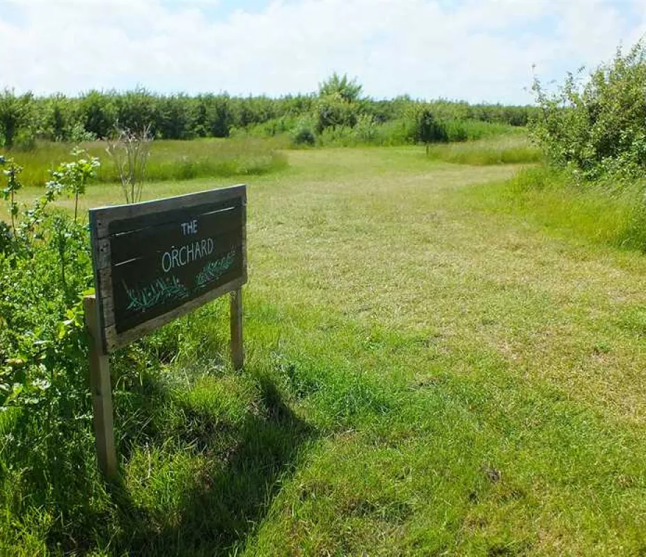 Fallow Fields Camping at Selson Farm