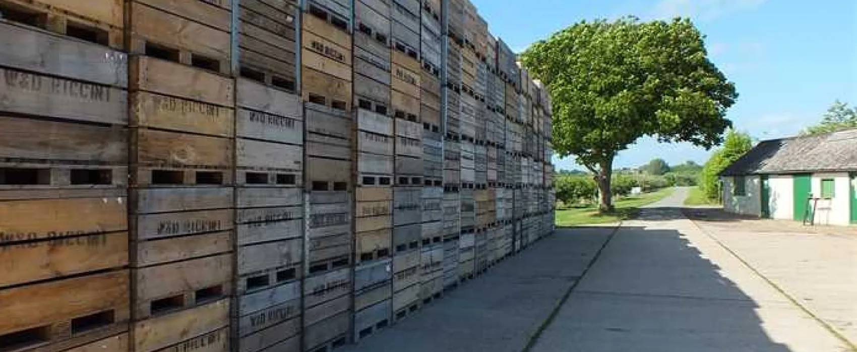 Fallow Fields Camping at Selson Farm
