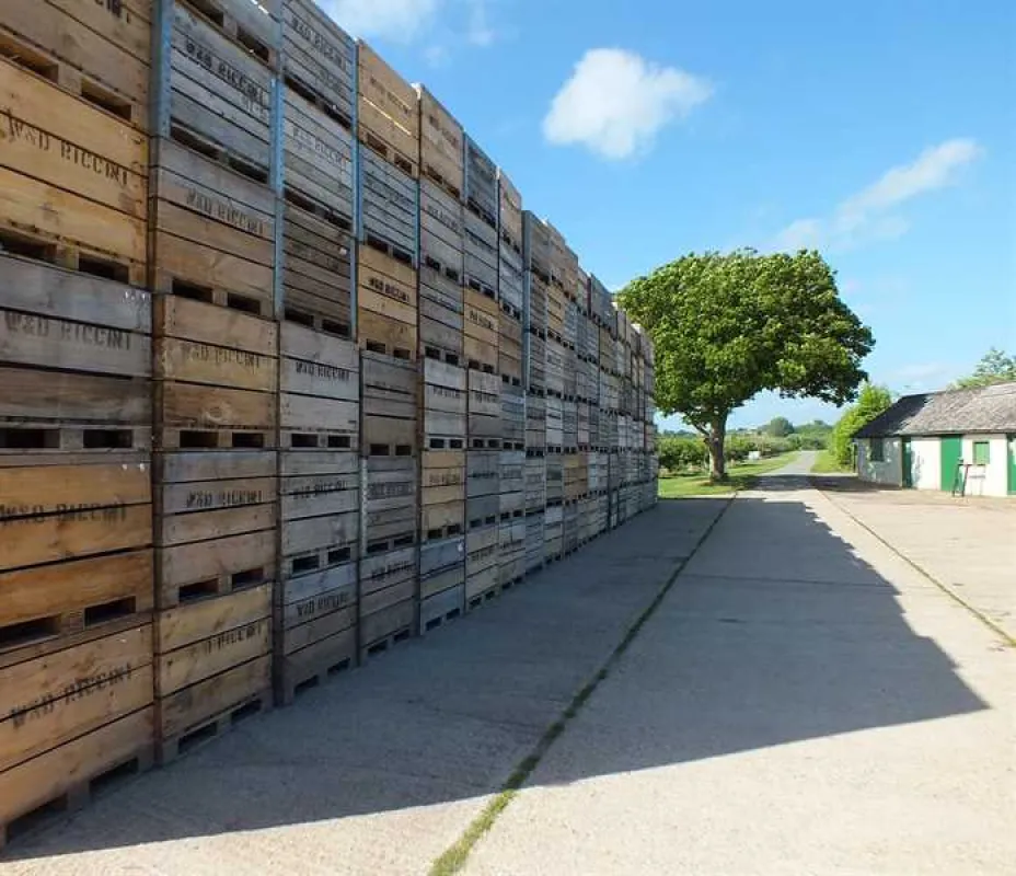Fallow Fields Camping at Selson Farm