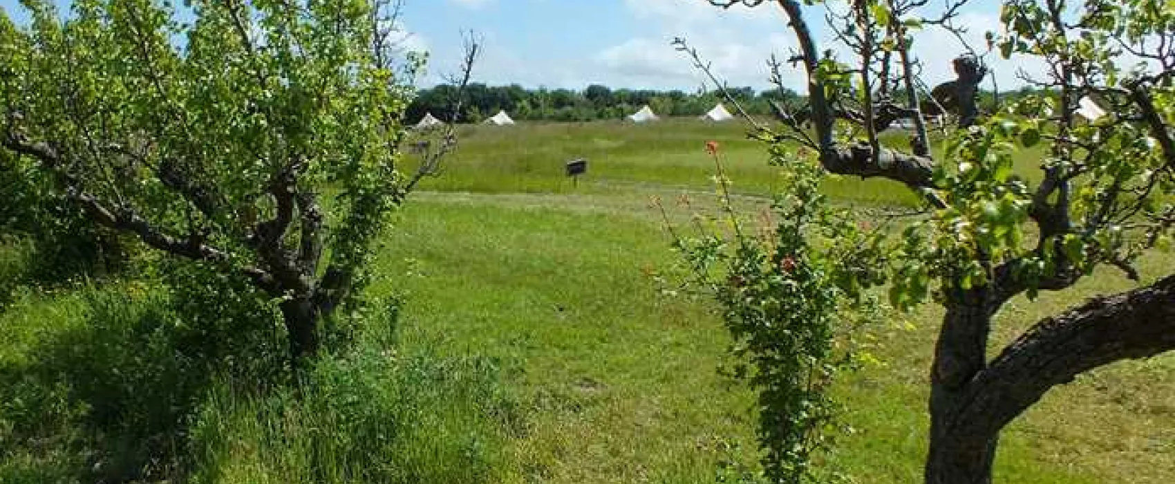 Fallow Fields Camping at Selson Farm