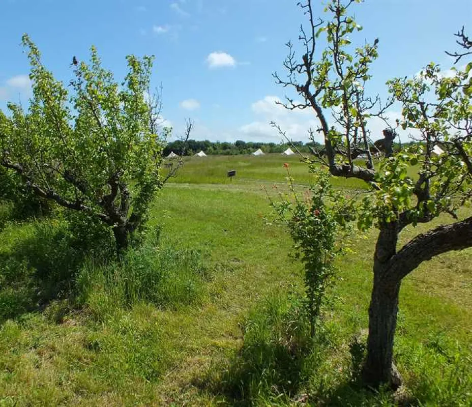Fallow Fields Camping at Selson Farm