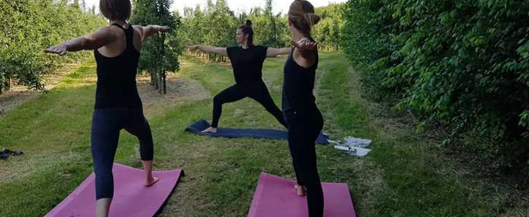 Fallow Fields Camping at Selson Farm