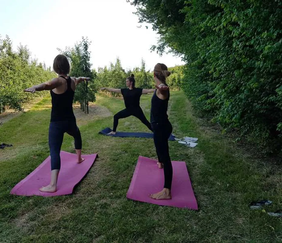 Fallow Fields Camping at Selson Farm