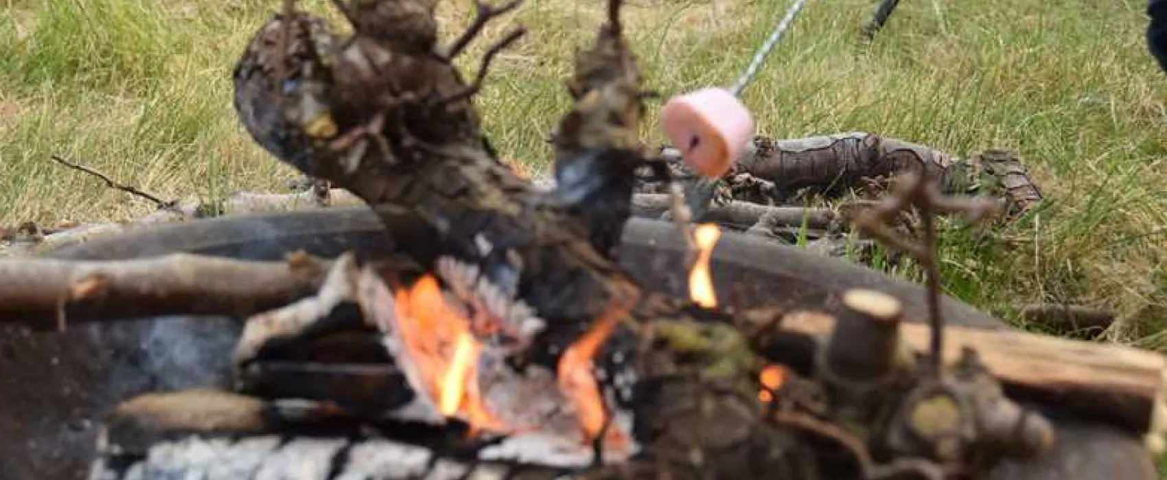 Fallow Fields Camping at Selson Farm