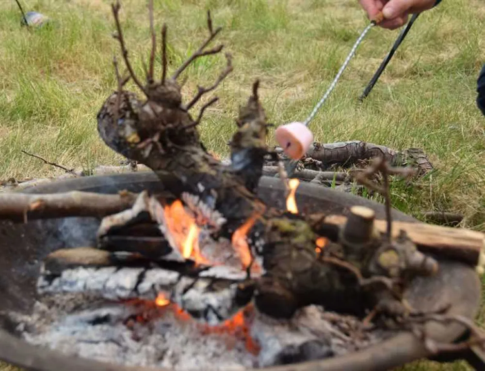 Fallow Fields Camping at Selson Farm