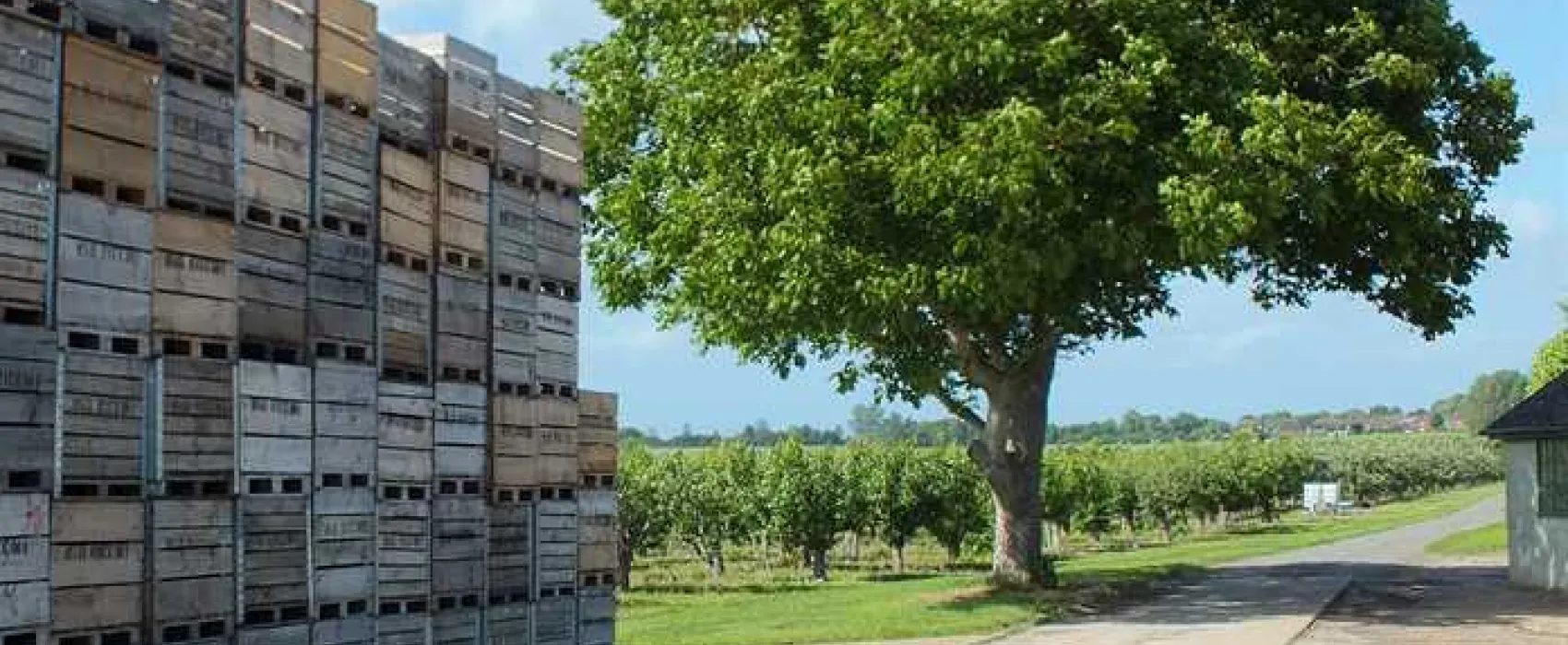 Fallow Fields Camping at Selson Farm