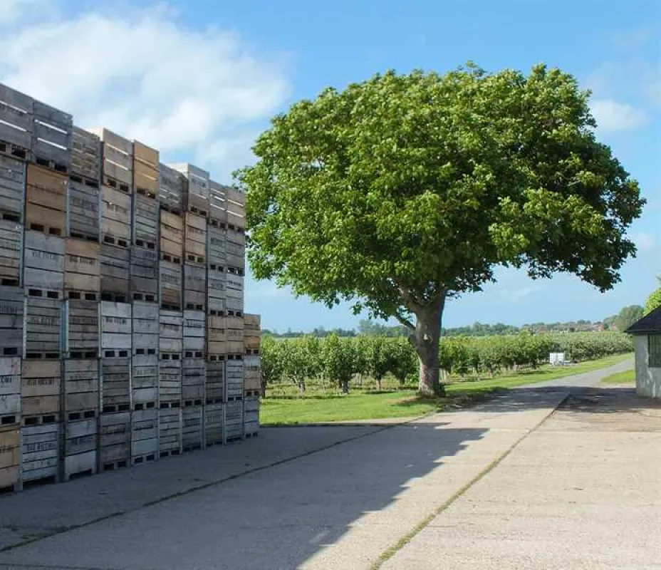 Fallow Fields Camping at Selson Farm
