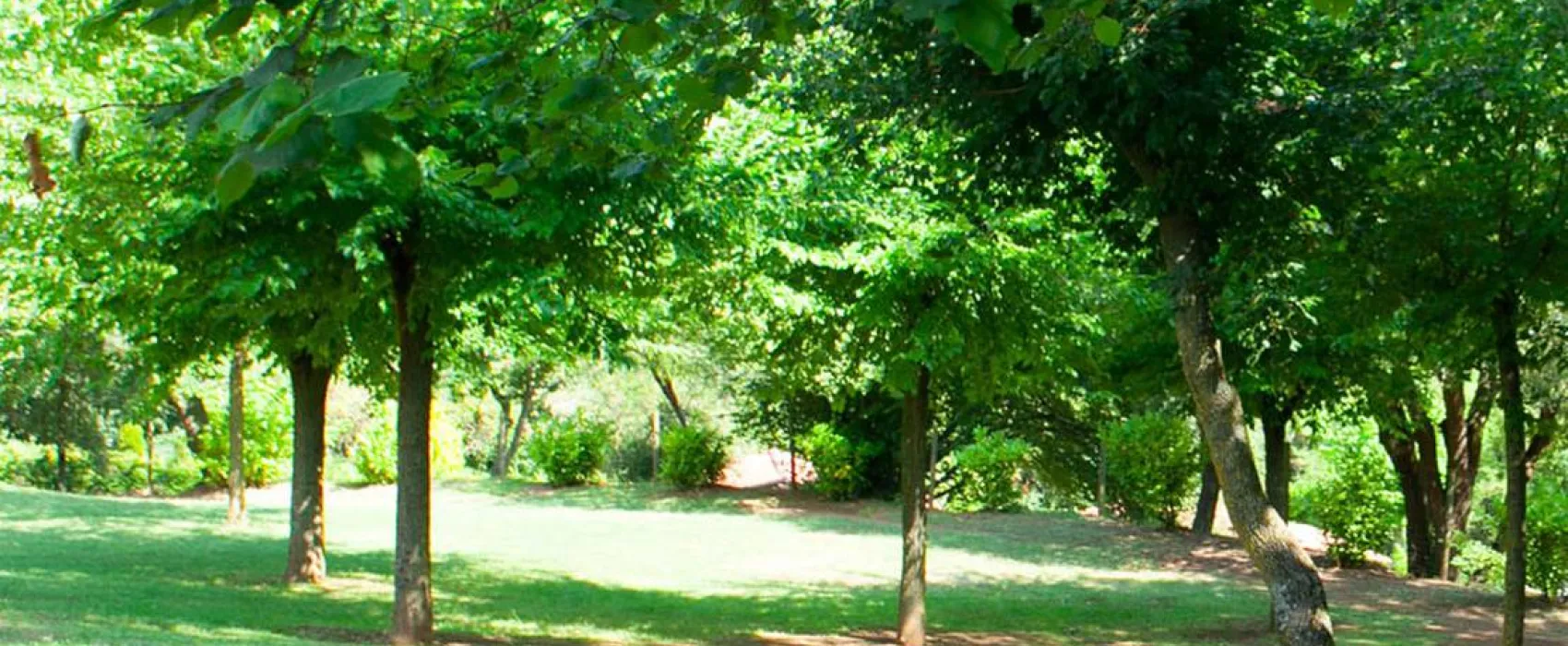 Camping Lava Ecològic