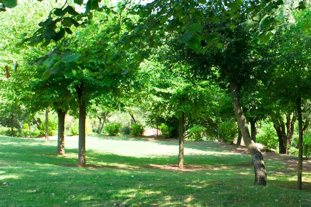 Camping Lava Ecològic