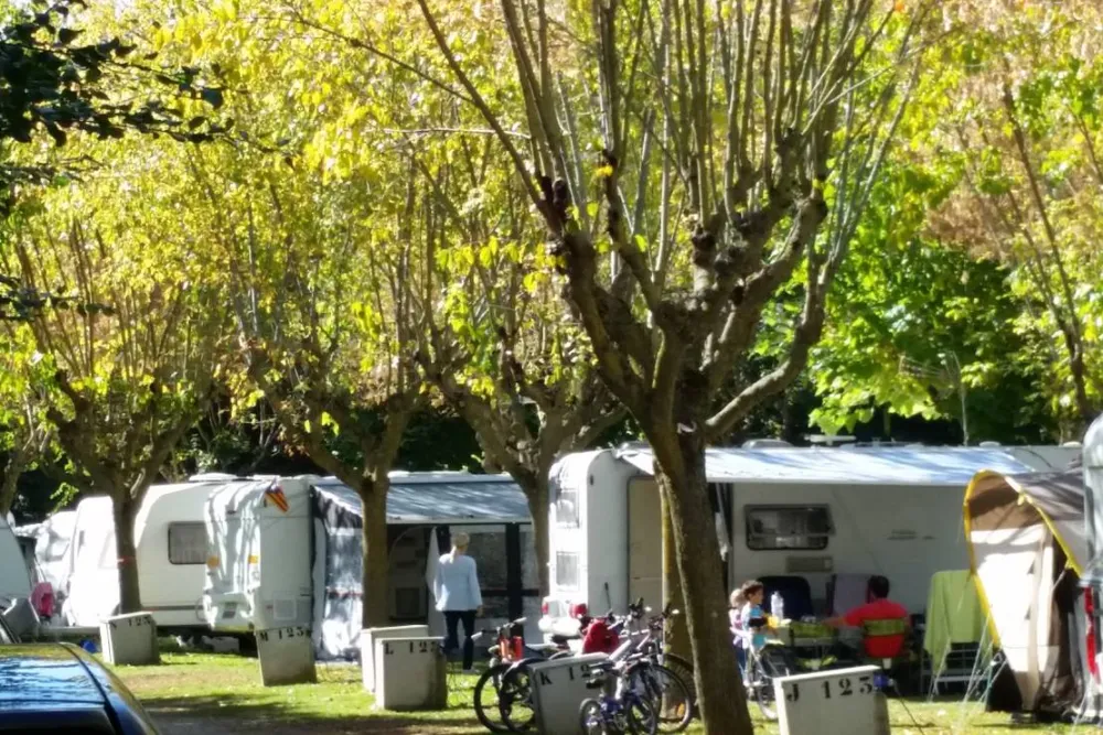 Camping Lava Ecològic