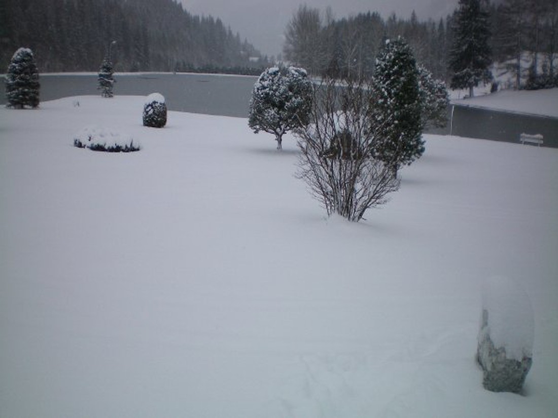 Freizeitsee-zenz photo 5