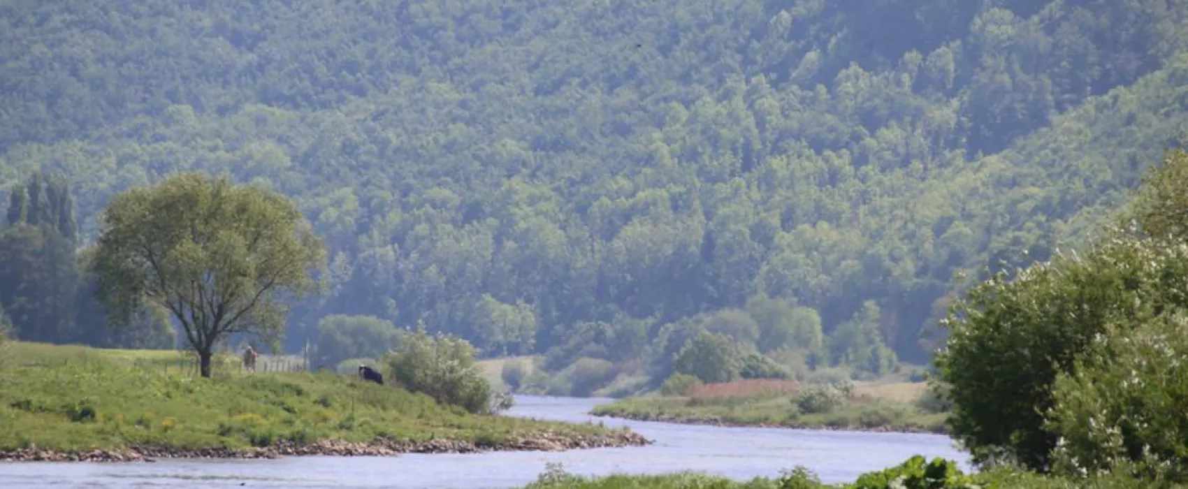 Campingplatz Grohnder Fährhaus