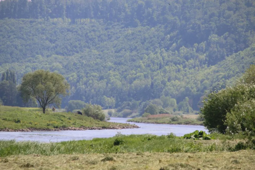 Campingplatz Grohnder Fährhaus
