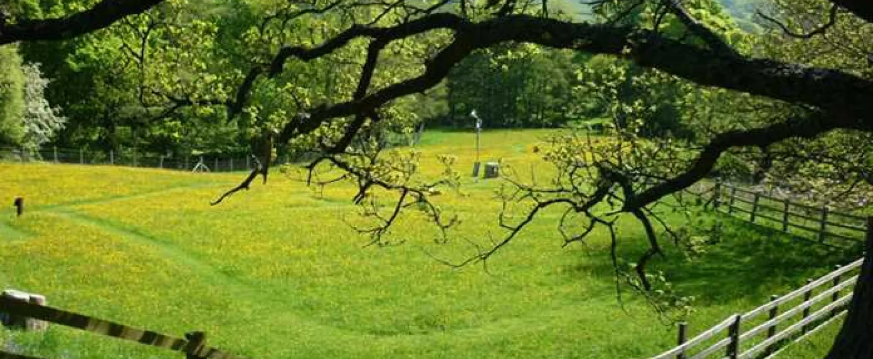 Studfold Caravan and Camping Park