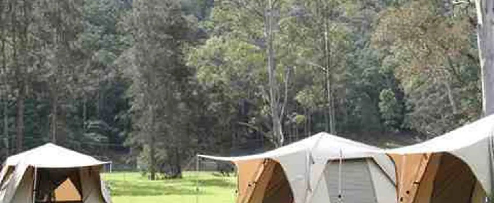 Camping Golosna