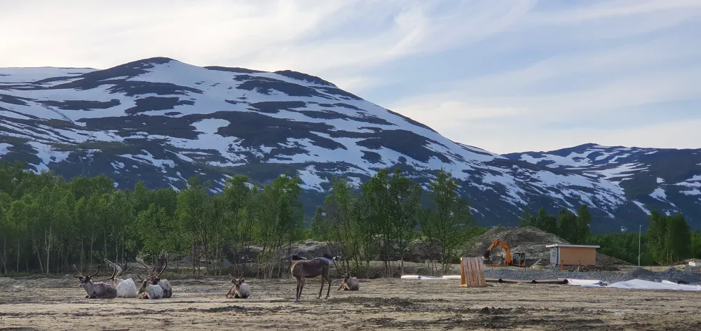 Umfors Camping -Naturnära fjällcamping