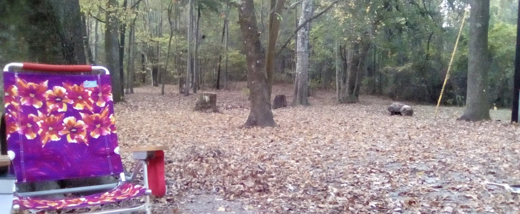 High Springs Campground