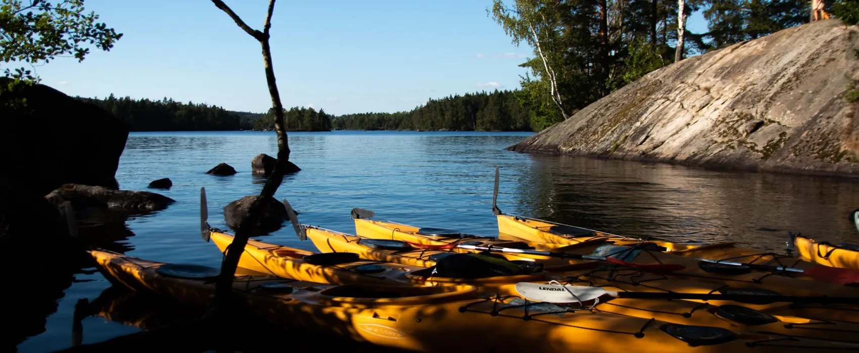 Camping Maplelake Adventure