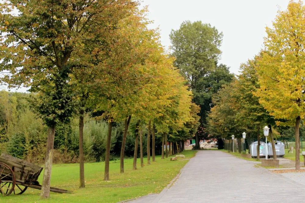 Camping- & Wochenendplatz Brinkmann´s Hof