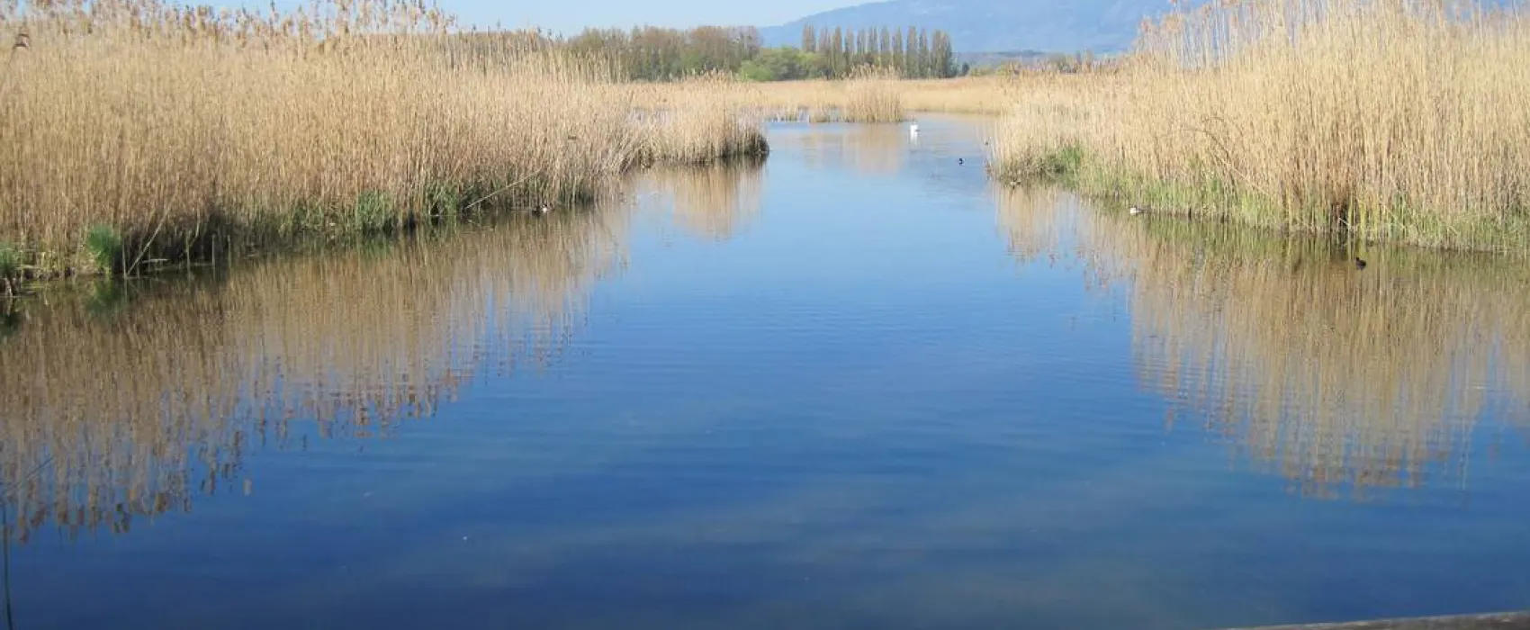 Camping Yverdon Plage