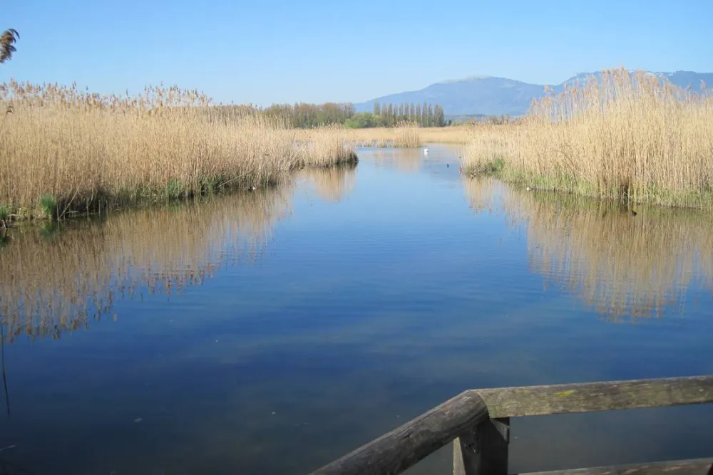 Camping Yverdon Plage