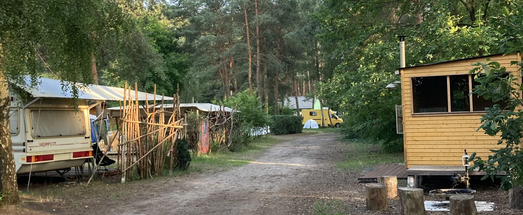 Wald- und Naturcampingplatz am Tonsee Süd