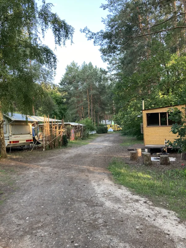 Wald- und Naturcampingplatz am Tonsee Süd