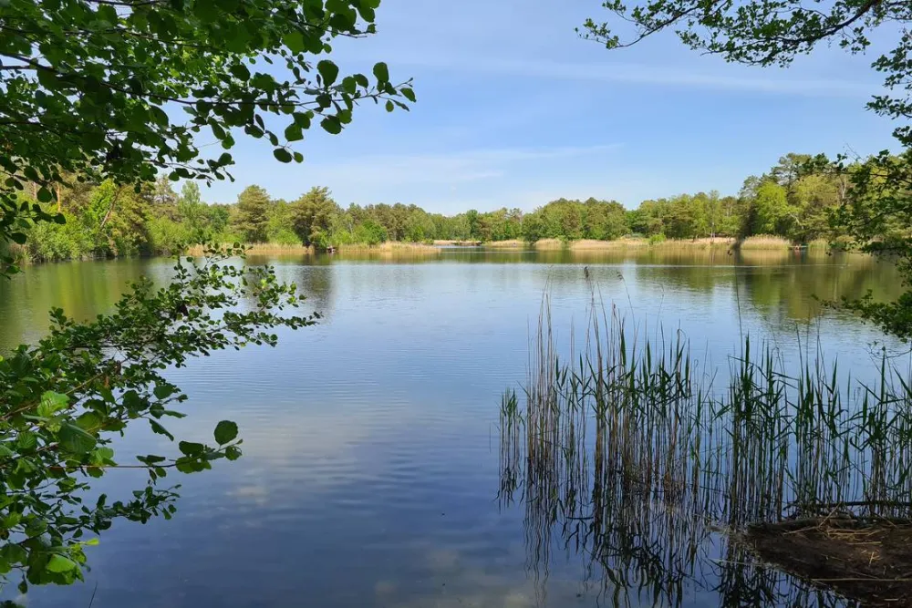 Wald- und Naturcampingplatz am Tonsee Süd