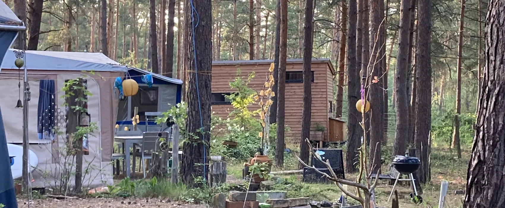 Wald- und Naturcampingplatz am Tonsee Süd