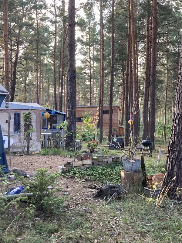 Wald- und Naturcampingplatz am Tonsee Süd