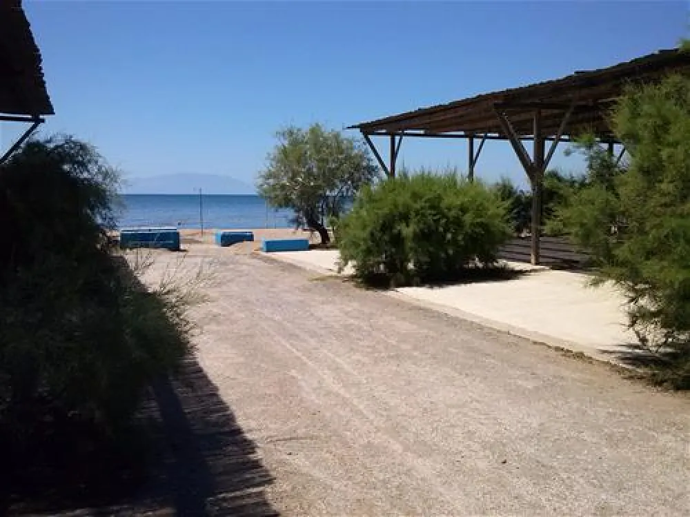 Municipal of Alexandroupolis