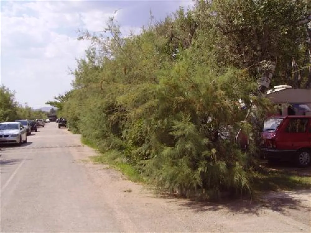 Municipal of Alexandroupolis