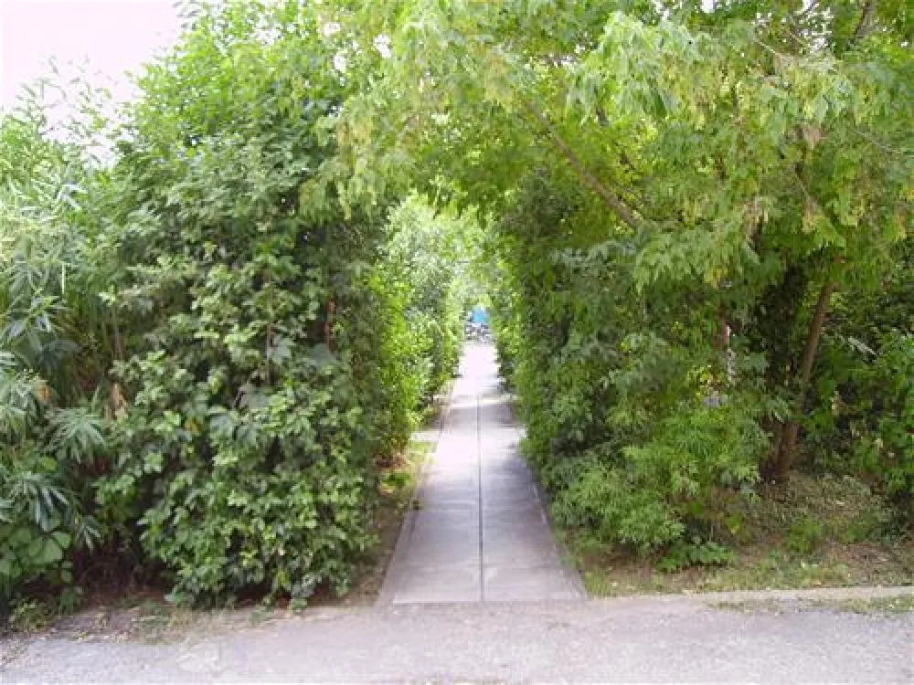 Municipal of Alexandroupolis