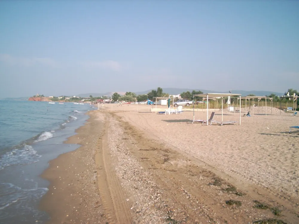 Municipal of Alexandroupolis