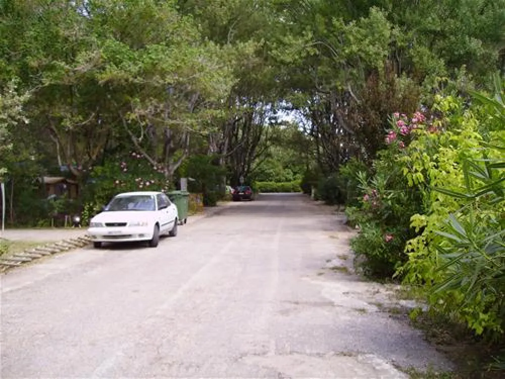 Municipal of Alexandroupolis