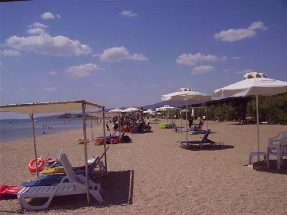 Municipal of Alexandroupolis