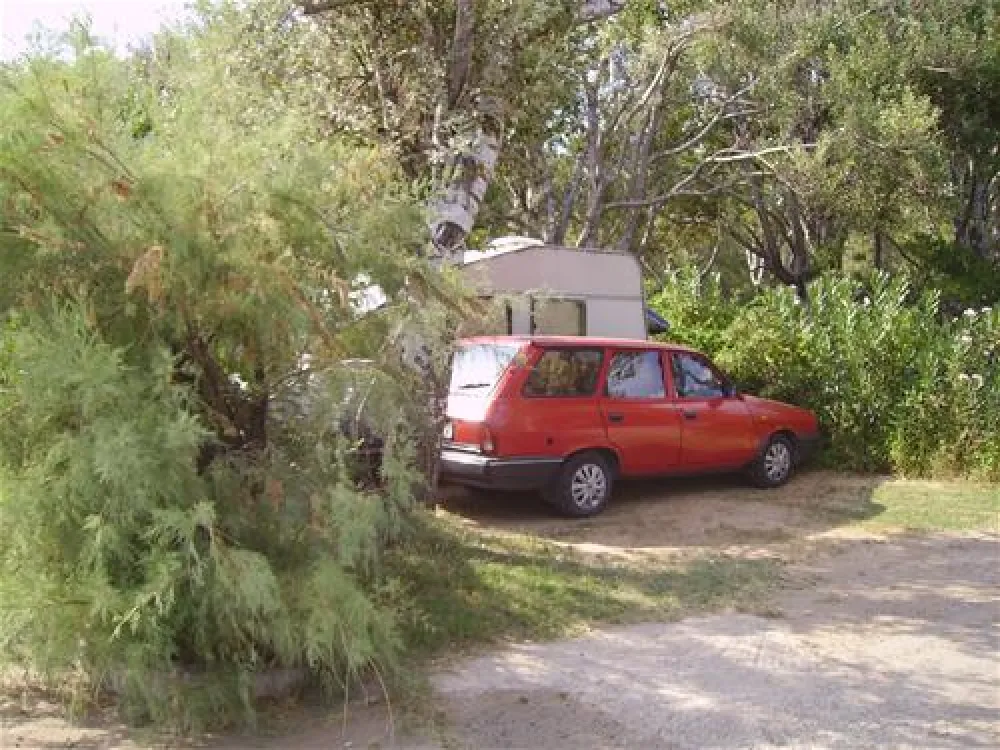 Municipal of Alexandroupolis