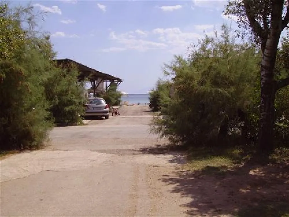 Municipal of Alexandroupolis