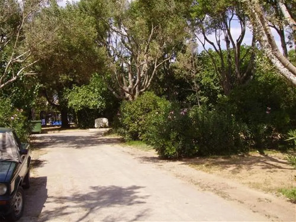 Municipal of Alexandroupolis