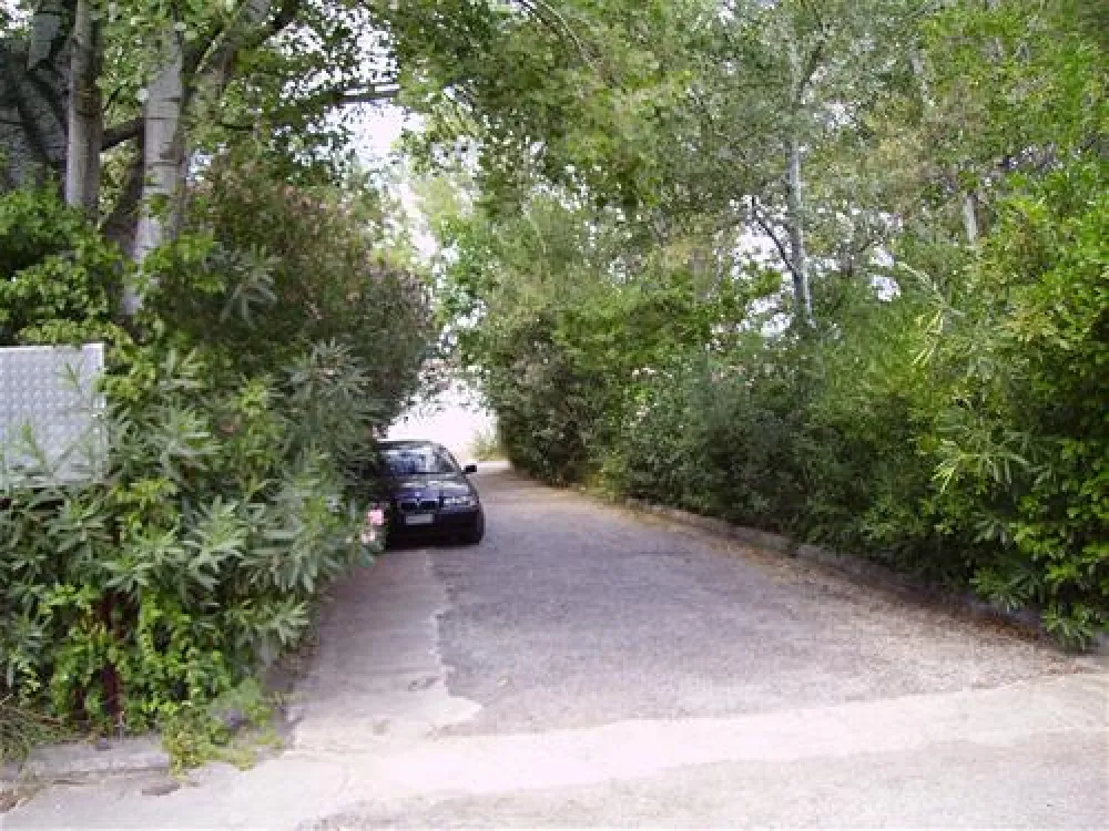 Municipal of Alexandroupolis