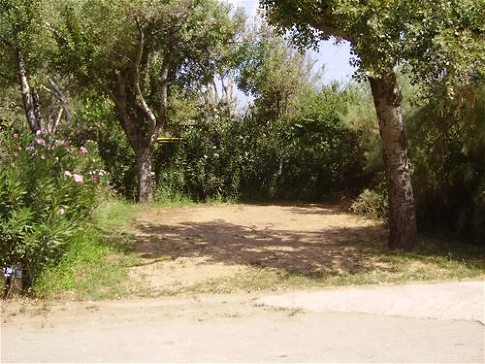 Municipal of Alexandroupolis