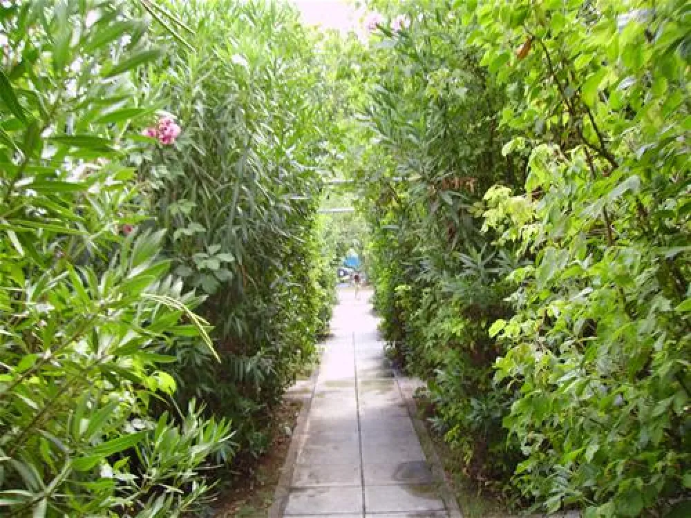 Municipal of Alexandroupolis