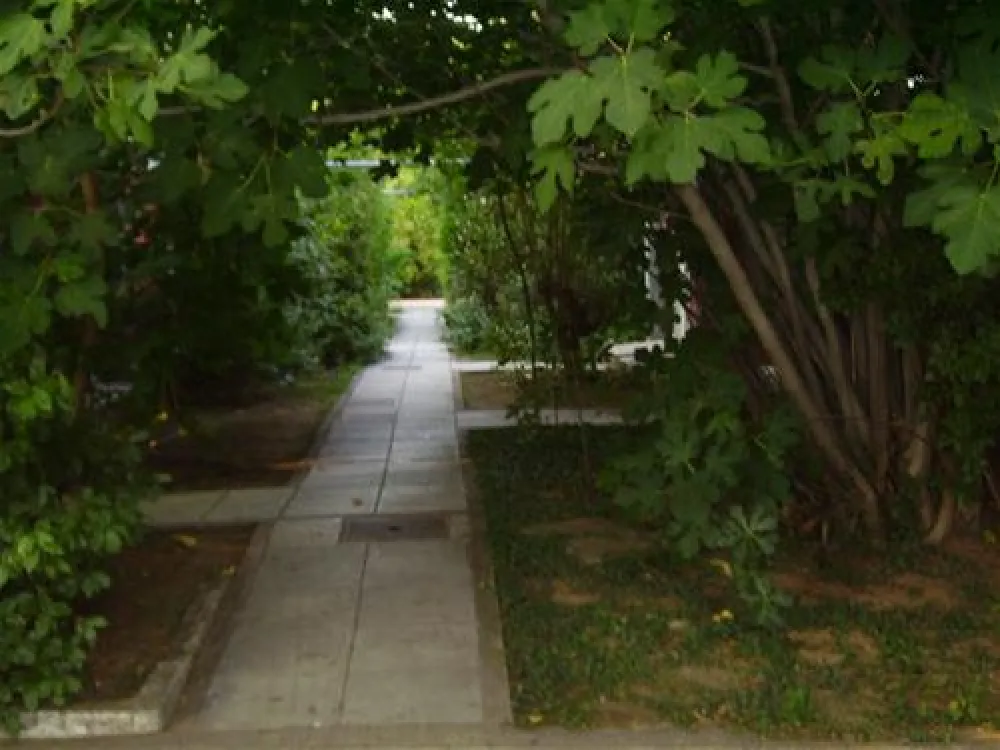 Municipal of Alexandroupolis