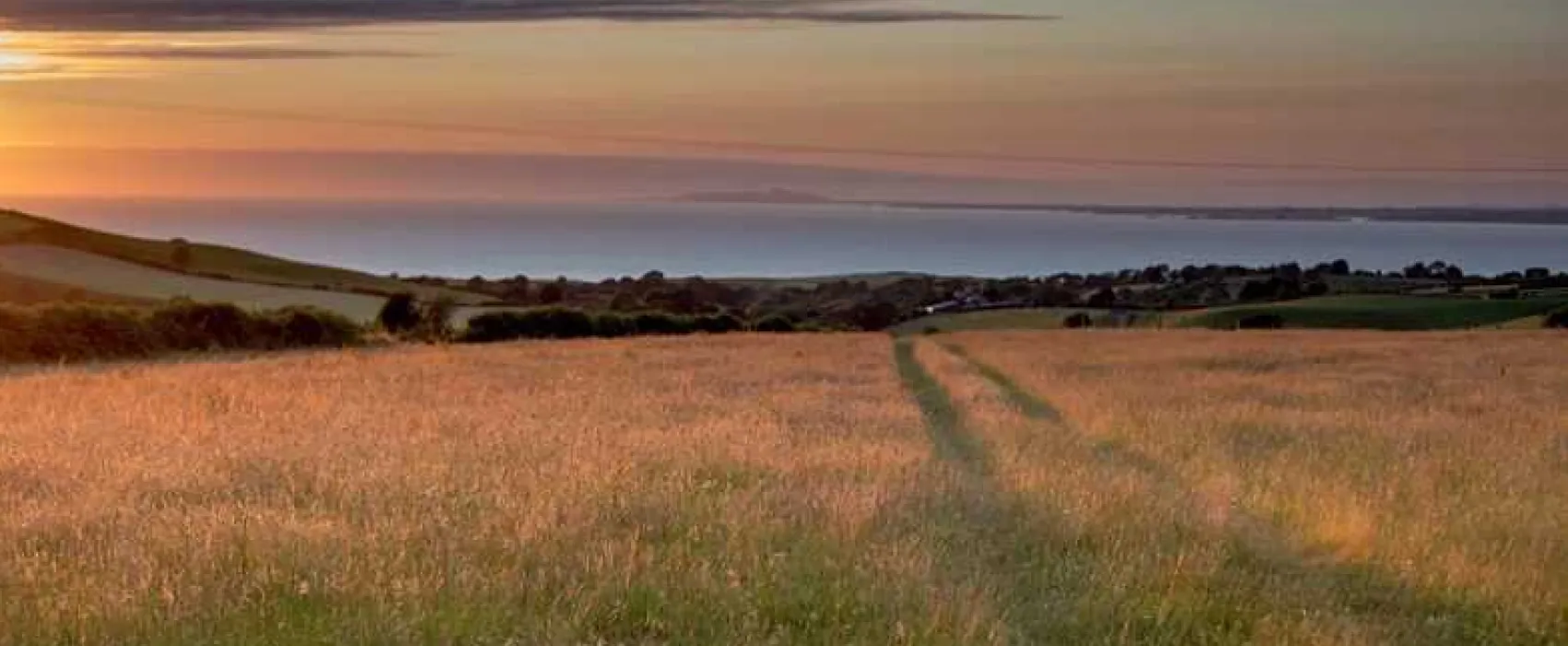Henbant Permaculture Farm and Campsite