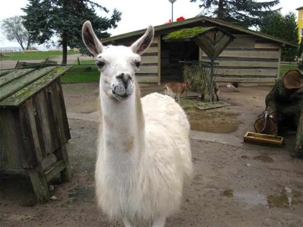 Ostseecamping Zierow